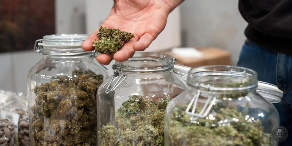 L'As du CBD Guadeloupe